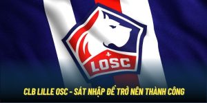 CLB Lille OSC - Sát Nhập Để Trở Nên Thành Công