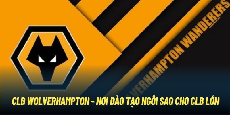 CLB Wolverhampton - Nơi Đào Tạo Ngôi Sao Cho CLB Lớn