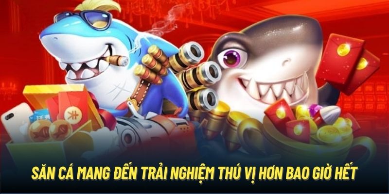 Săn cá mang đến trải nghiệm thú vị hơn bao giờ hết