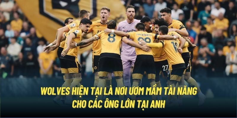 Wolves hiện tại là nơi ươm mầm tài năng cho các ông lớn tại Anh