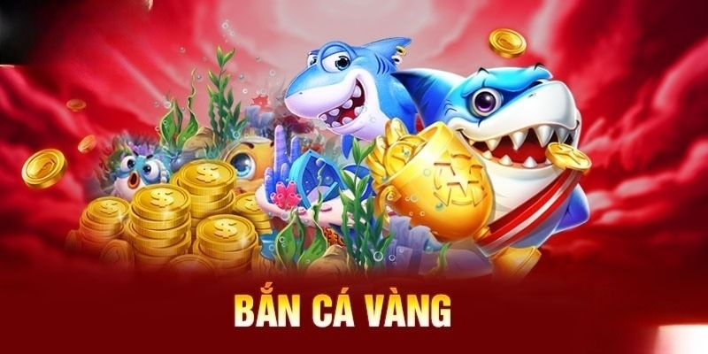 ban ca vang gioi thieu